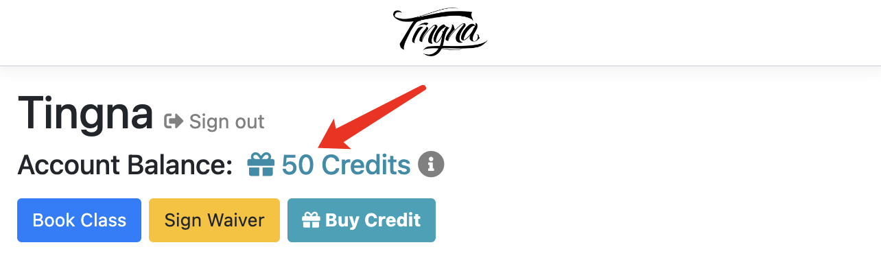 How to check account balance
